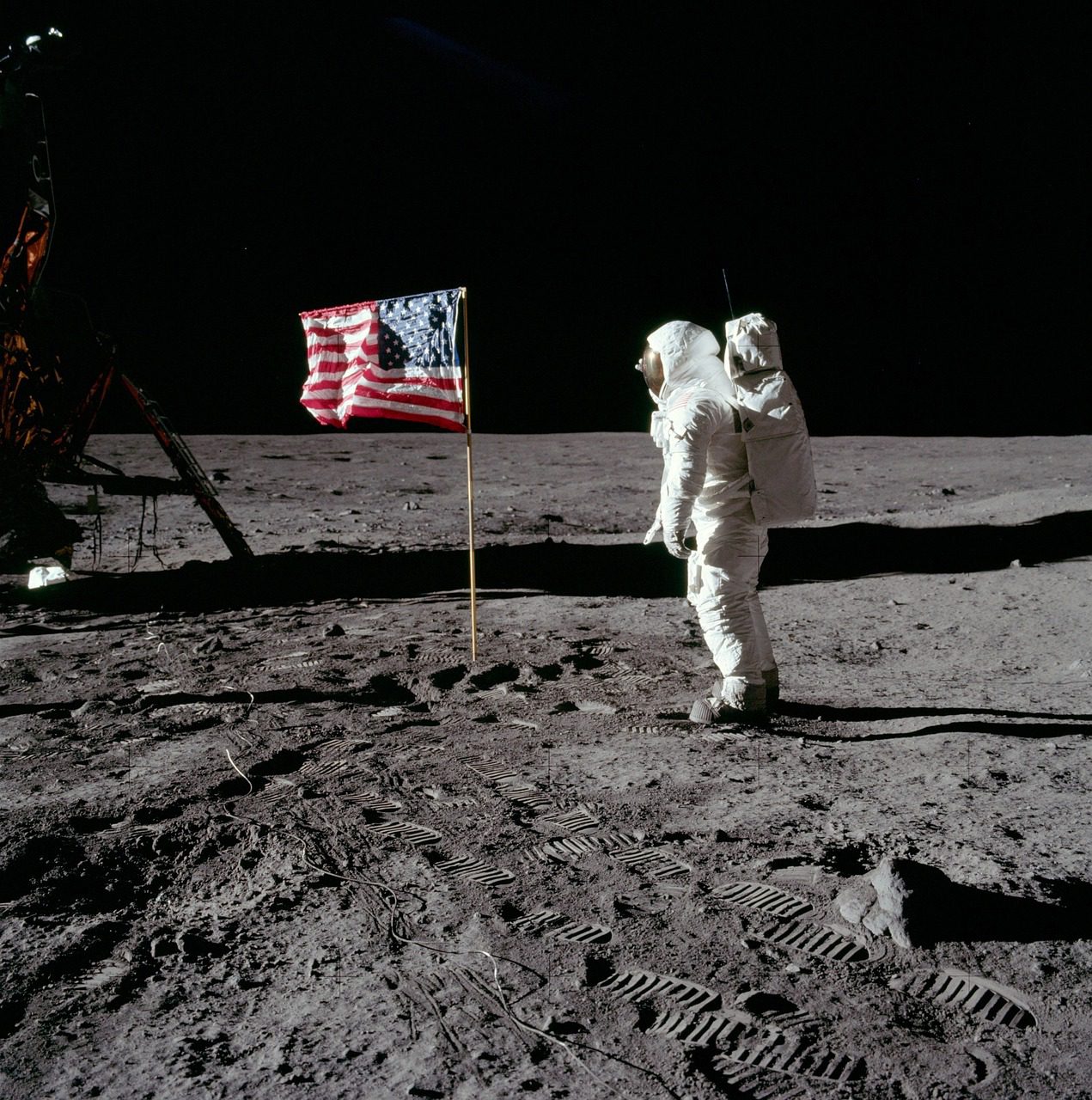 moon landing, buzz aldrin, america, 1969, flag, space suit, moon walk, moonwalk, astronaut, space wallpaper, gray moon, gray walking, gray wallpaper, iphone wallpaper, moon landing, moon landing, moon landing, moon landing, moon landing, astronaut, astronaut, astronaut, astronaut