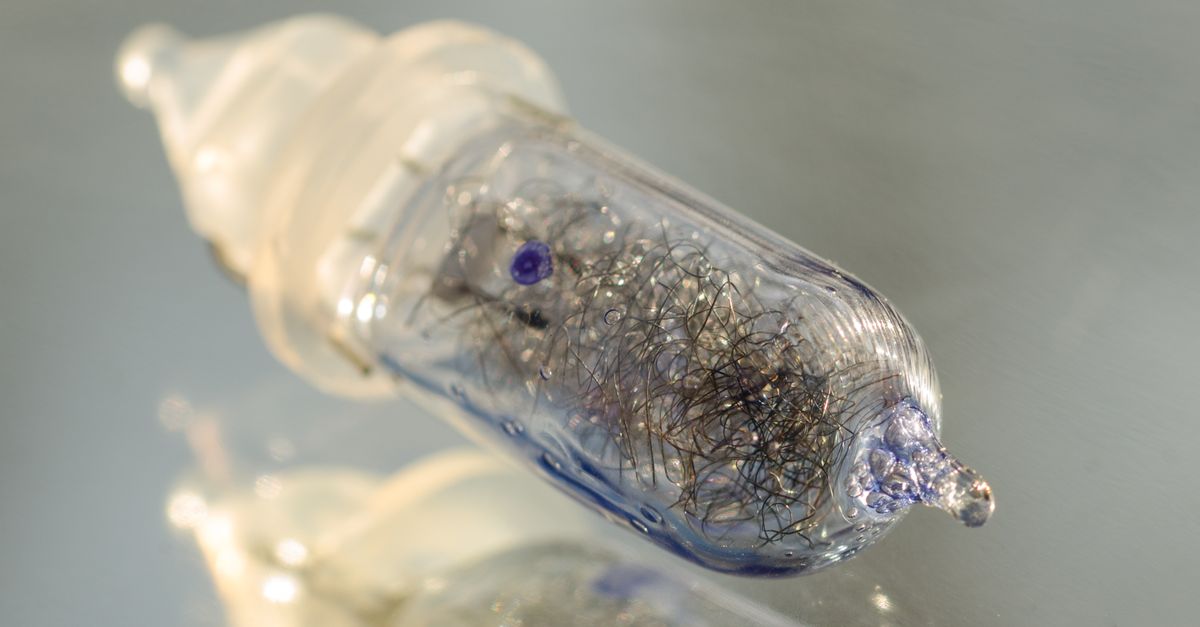 Intricate details of a transparent glass light bulb with wires reflecting light.