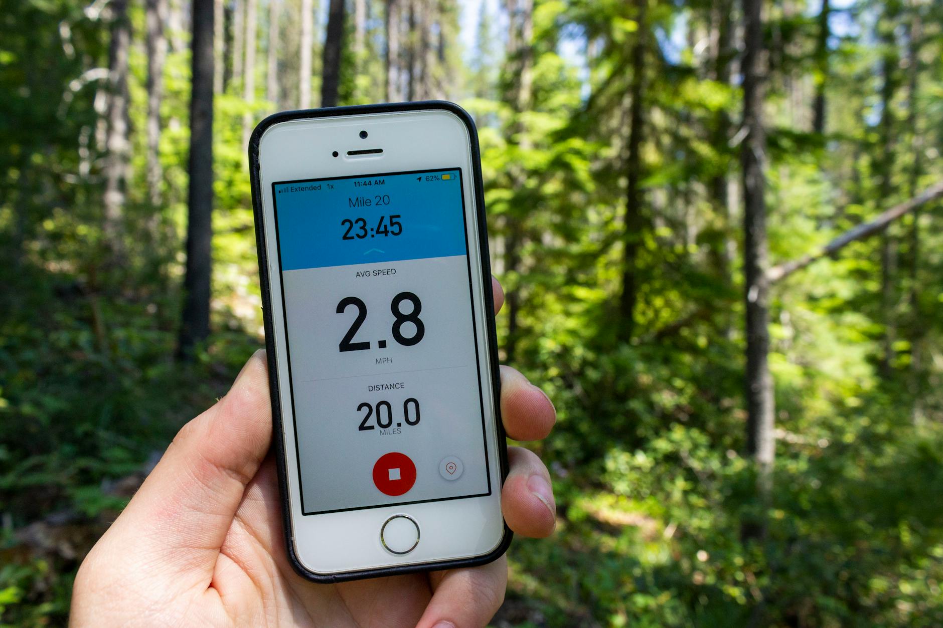 Smartphone displaying tracking app in lush forest setting, highlighting technology in nature.