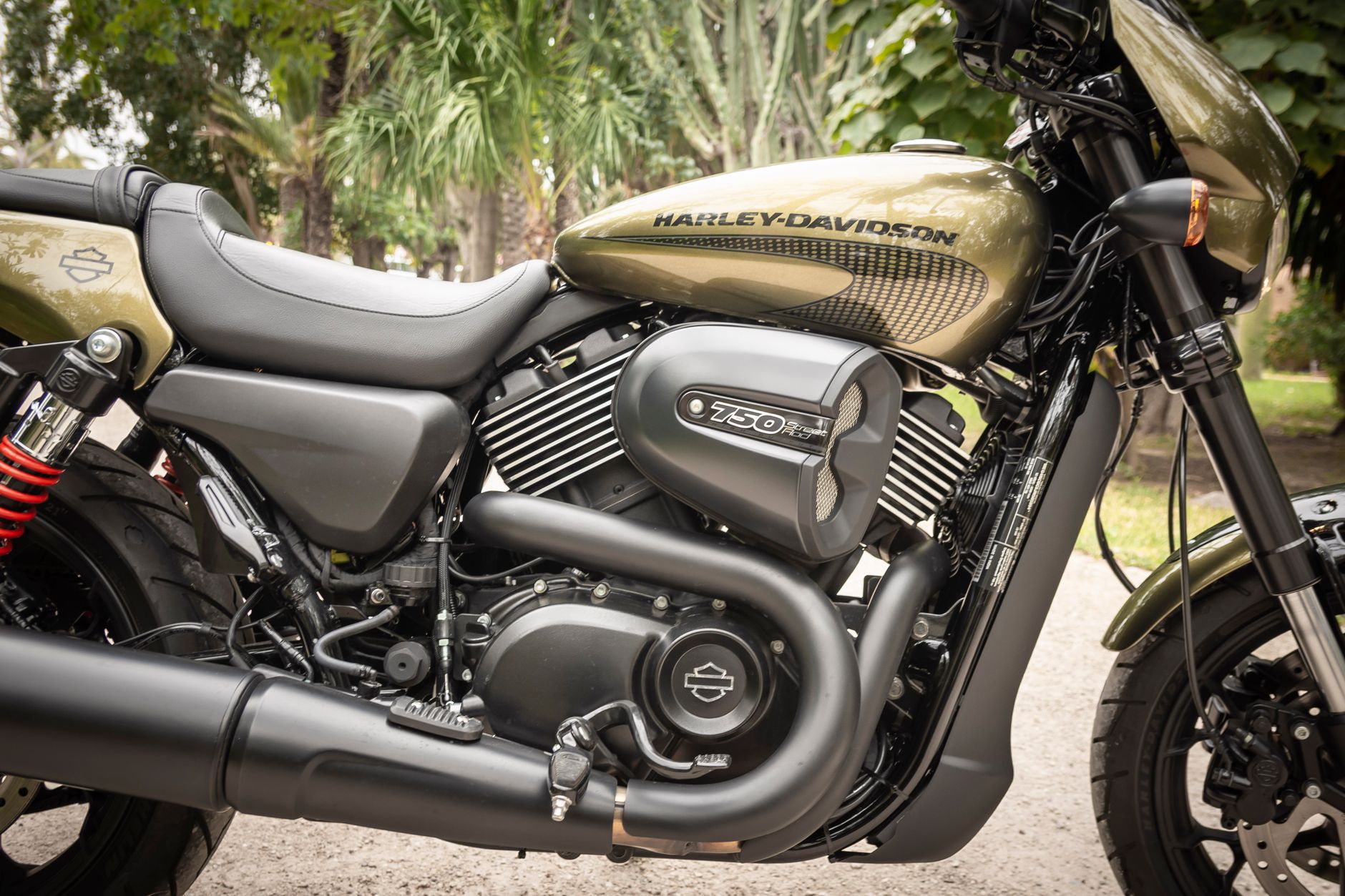 Detailed view of a Harley-Davidson motorcycle parked on an outdoor path.