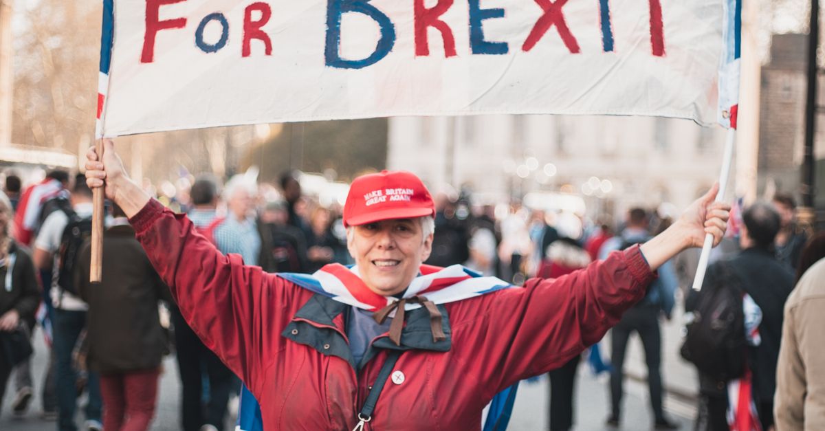Woman in red jacket holding a 'For Britain For Brexit' sign during a protest in London.