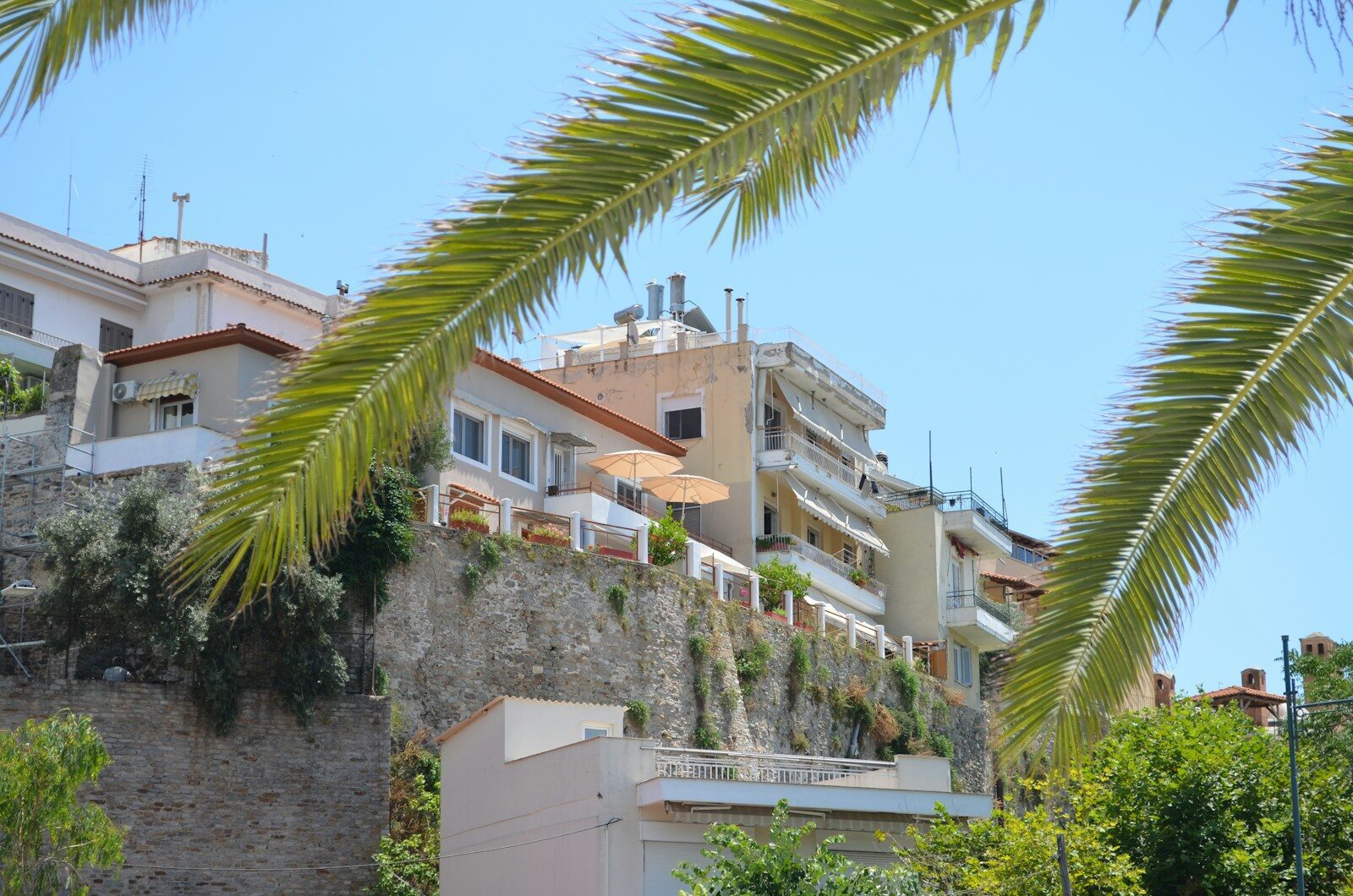 Buildings on a sunny hillside framed by palm fronds